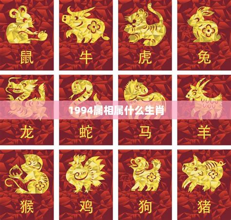 94年生肖|1994年属什么生肖 和什么属相婚配最合适